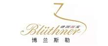 Bluthner���m˹��