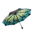 ���ð�؛