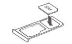 sim-2.jpg